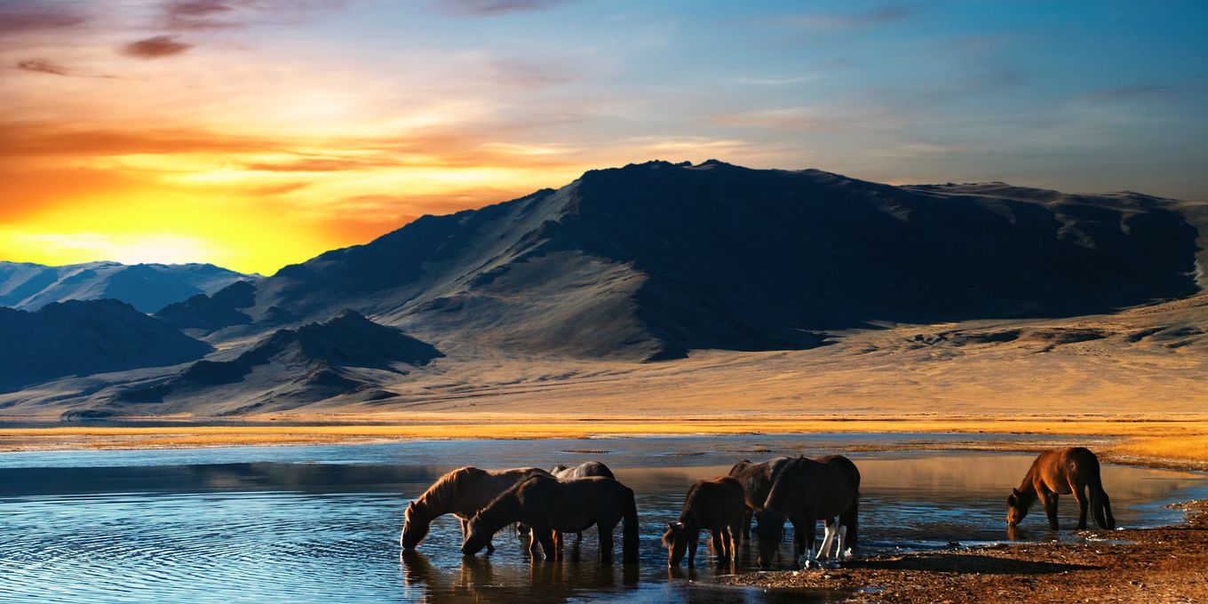 Horses drinking at a shallow lake below bare mountains at dusk