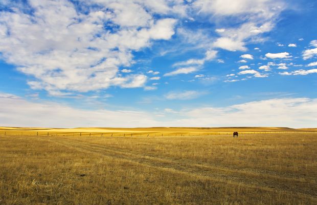 Open grassland under a wide sky with scattered clouds