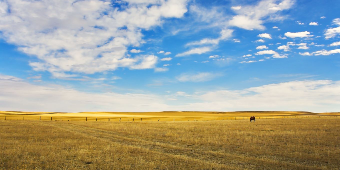 Open grassland under a wide sky with scattered clouds