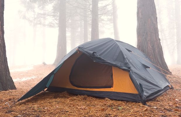 A small dome tent pitched on bare ground among trees in fog