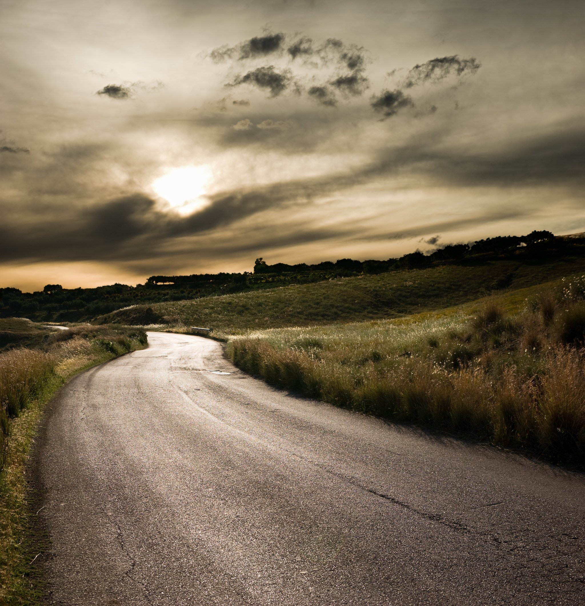 Backcountry road through open country